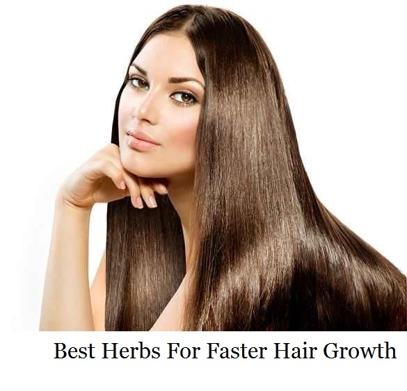 Best Herbs For Faster Hair Growth