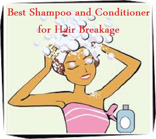 Best Shampoo and Conditioner for Hair Breakage